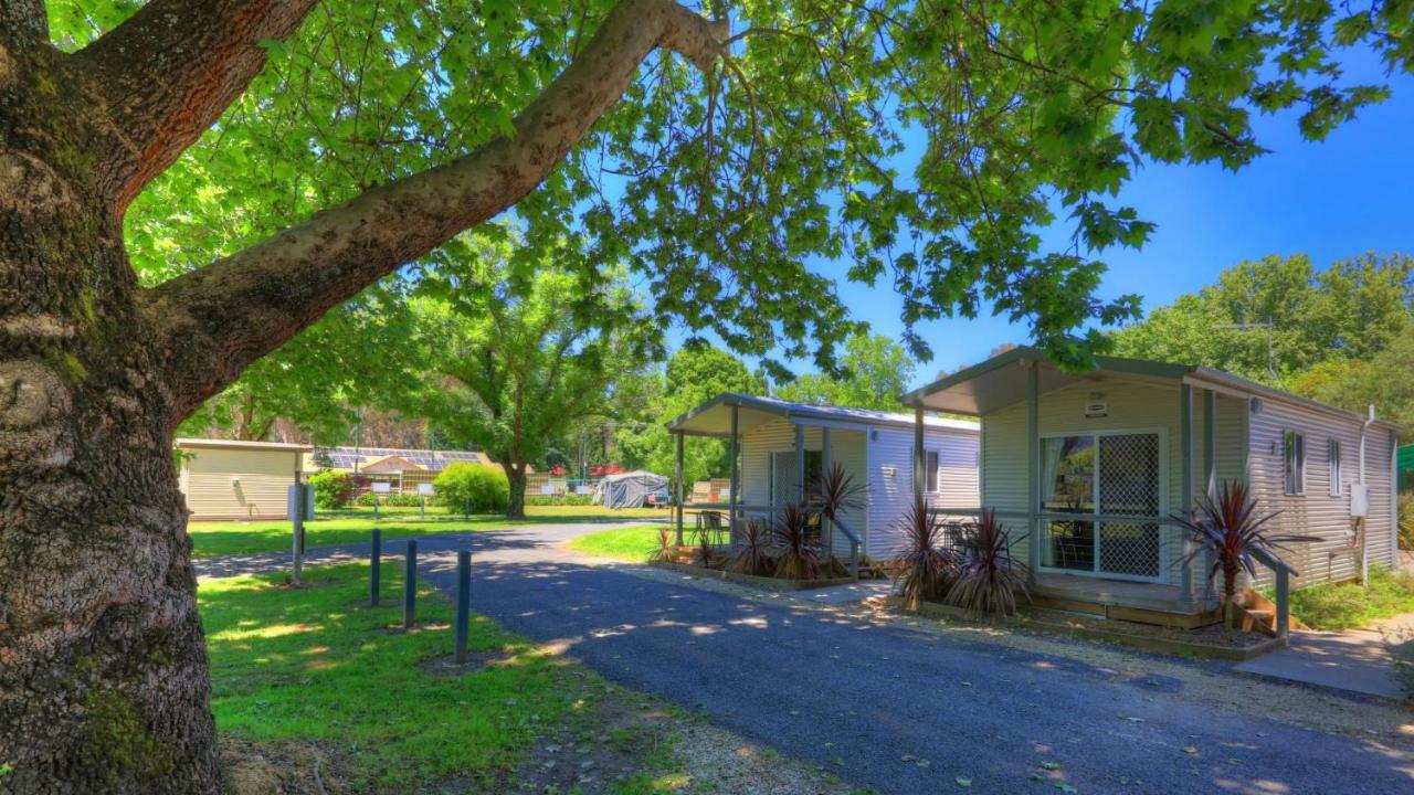 Myrtleford Holiday Park Kültér fotó
